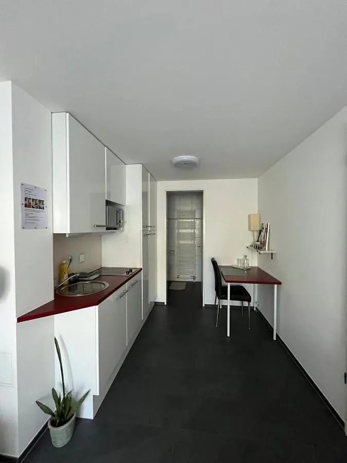 Schones Studio Mit Einer Kleinen Terrasse Lejlighed Basel