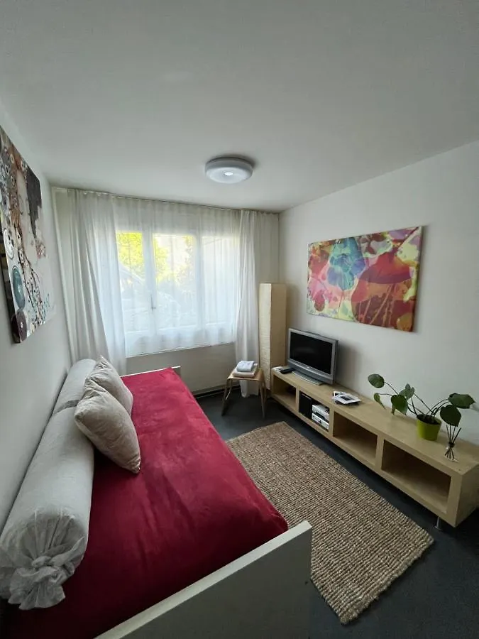 Schones Studio Mit Einer Kleinen Terrasse Lejlighed Basel Schweiz