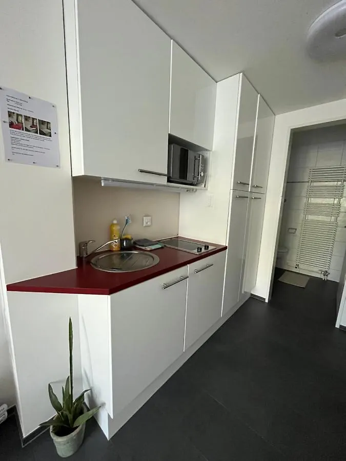Schones Studio Mit Einer Kleinen Terrasse Lejlighed Basel 0*,